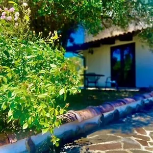 Sarda Jamelia Appartement